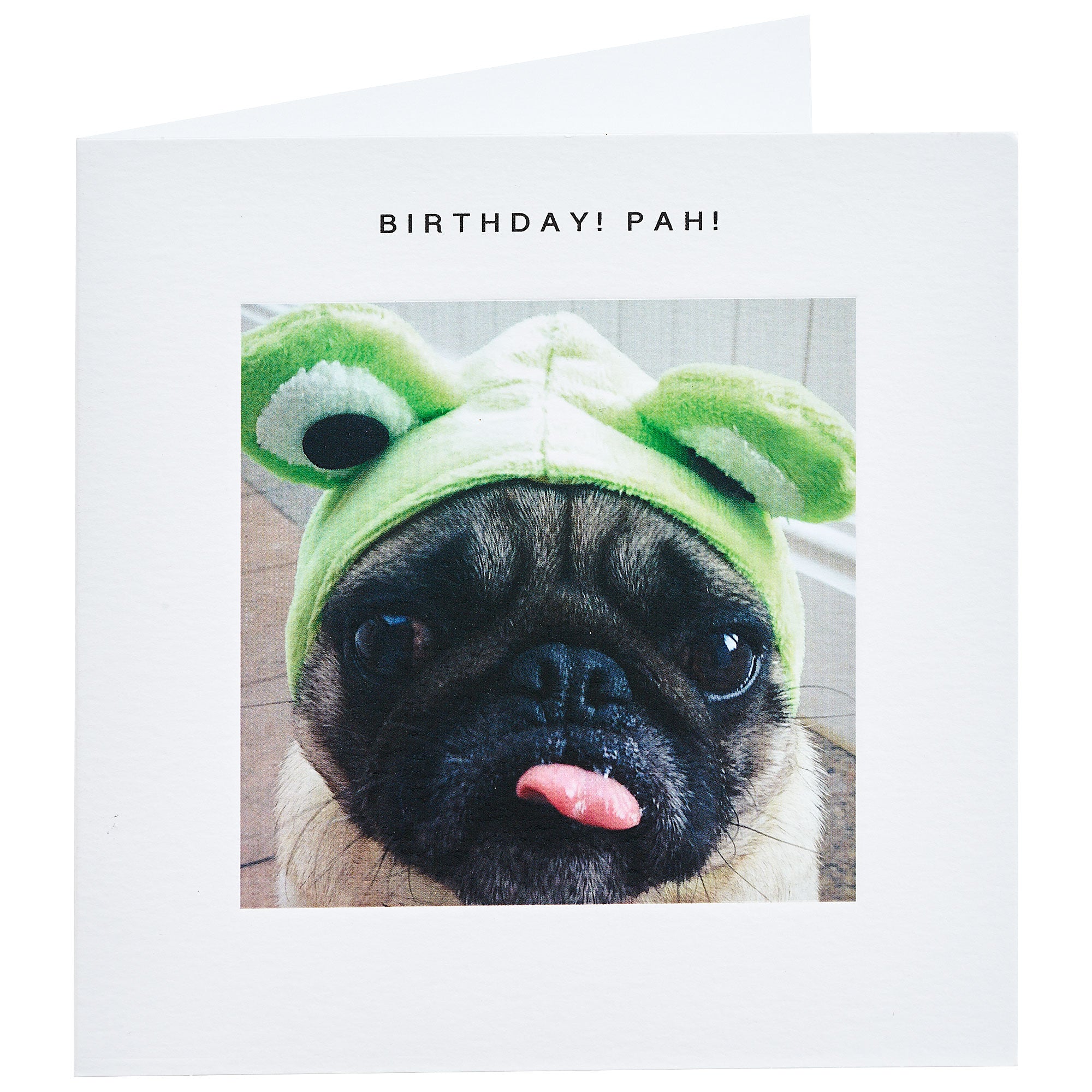 pug teddy card factory