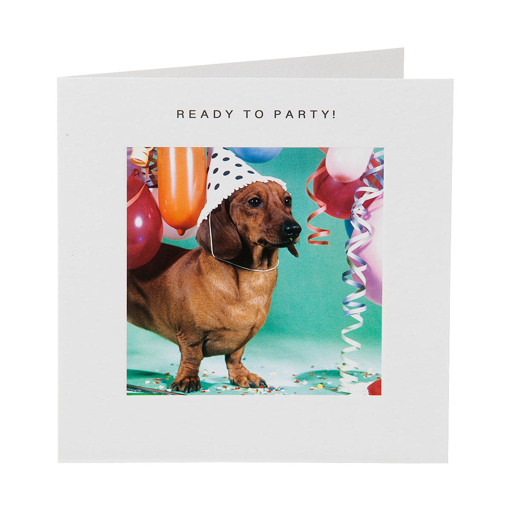 Cute Dog Ready To Party Birthday Card | The Reject Shop