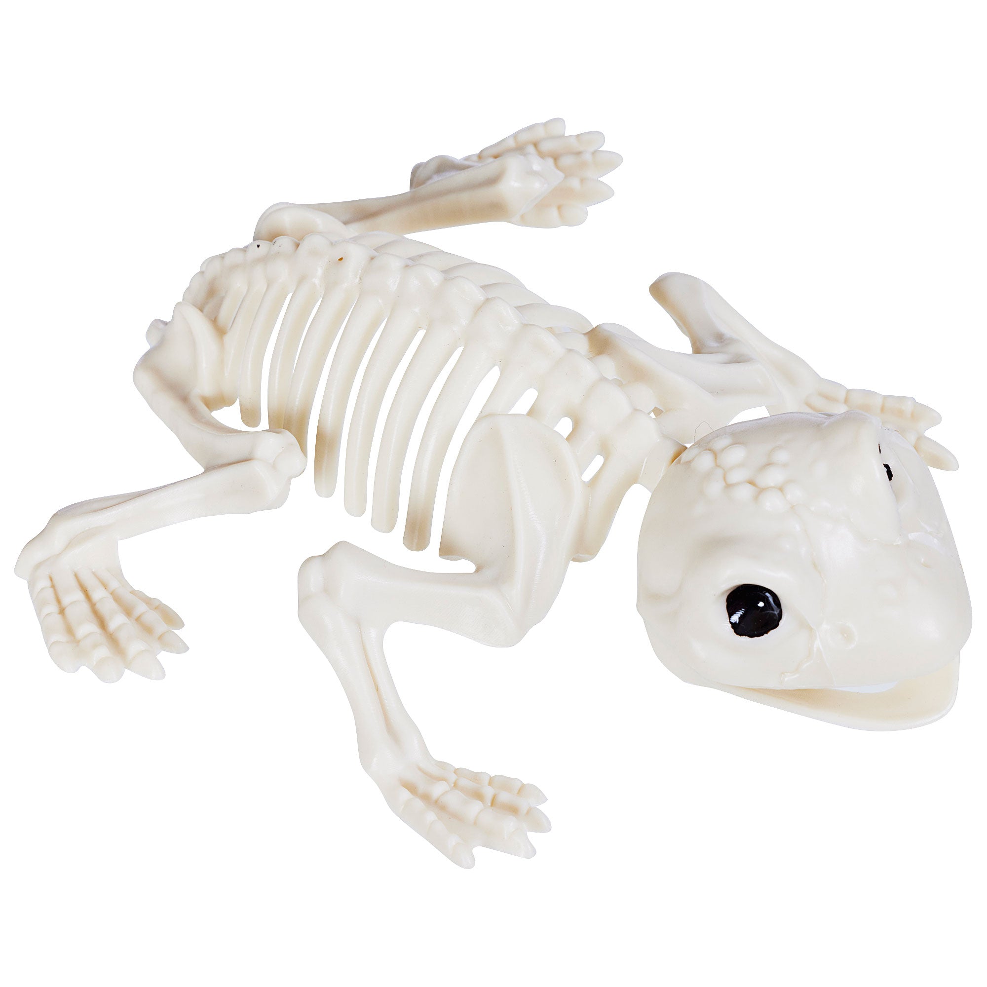 Halloween Animal Skeleton Assorted | The Reject Shop