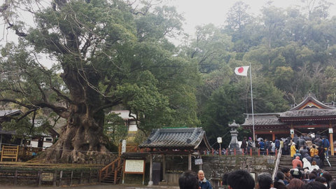 kamo jinja