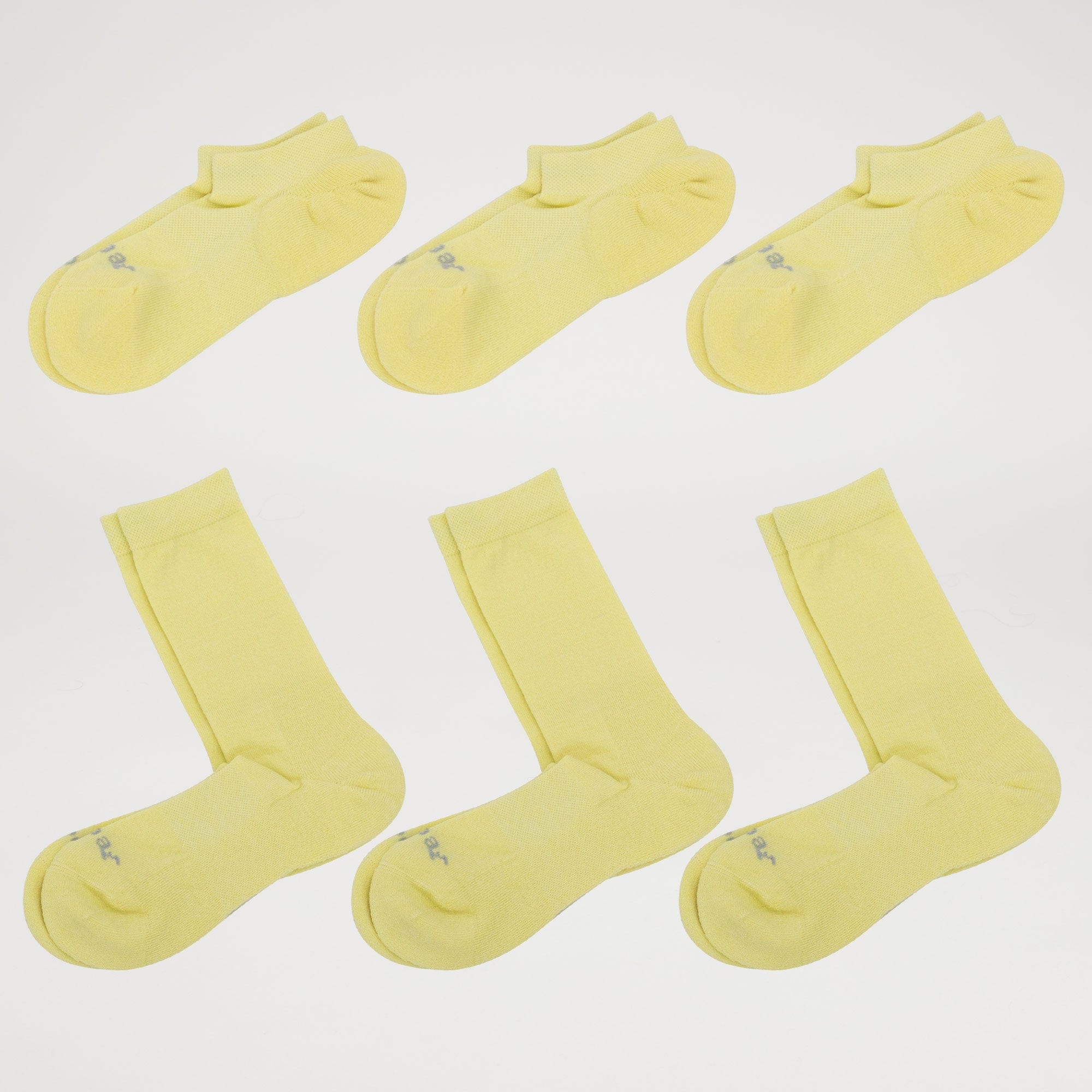 Ankle & Calf Sock / Pack of 6