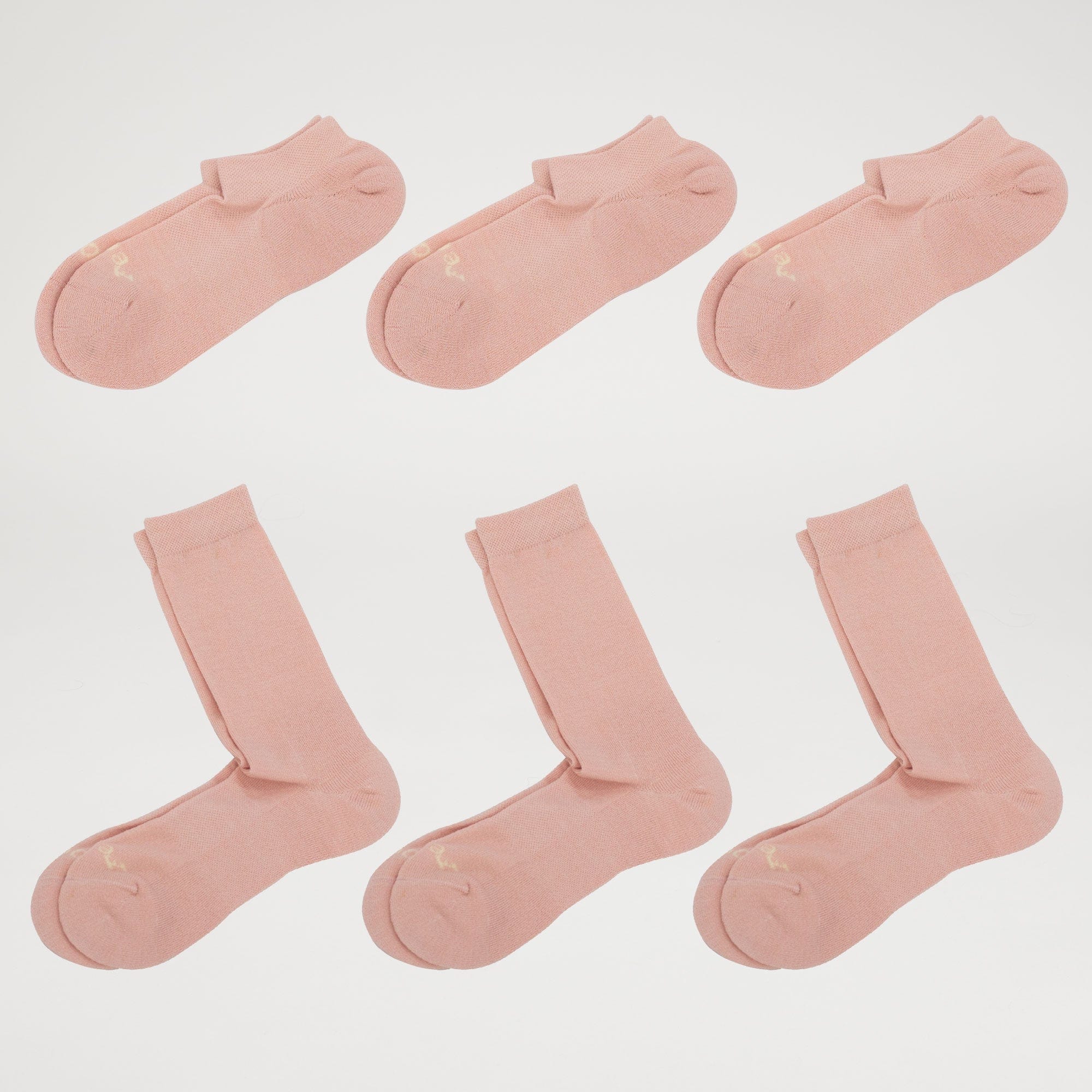 Ankle & Calf Sock / Pack of 6