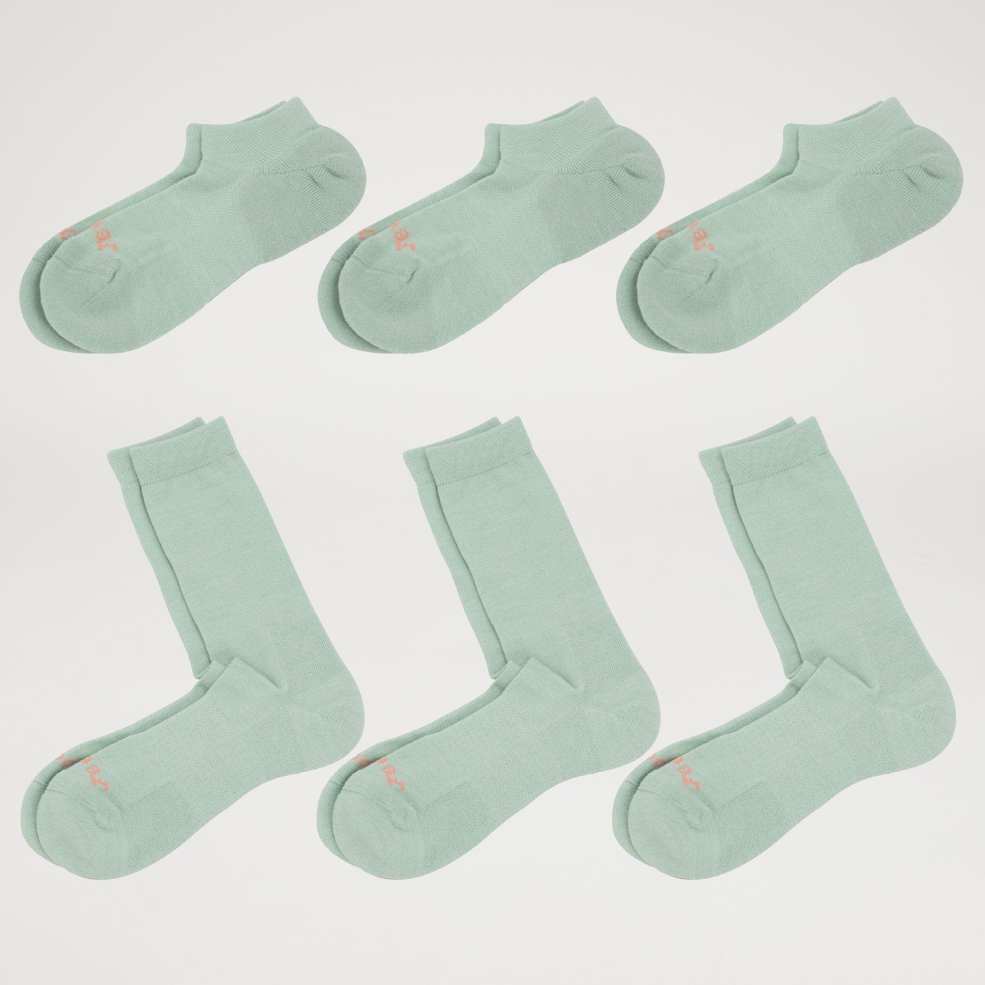 Ankle & Calf Sock / Pack of 6