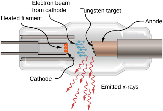 Produce X-rays