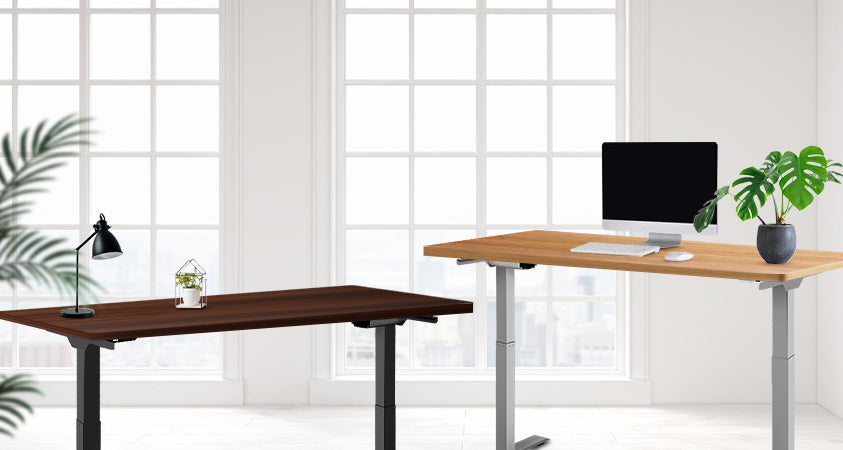 A pair of Artiss standing desks. One has a dark wood top and black legs, while the other has a light wood top and silver legs. One is holding a pot plant and a lamp, while the other has a pot plant and computer.