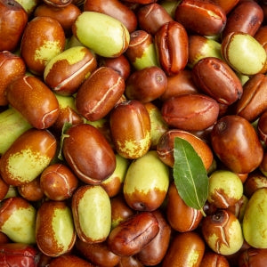 Raw jojoba nuts used to make jojoba oil