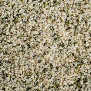 Raw hemp seeds used to make hemp seed oil