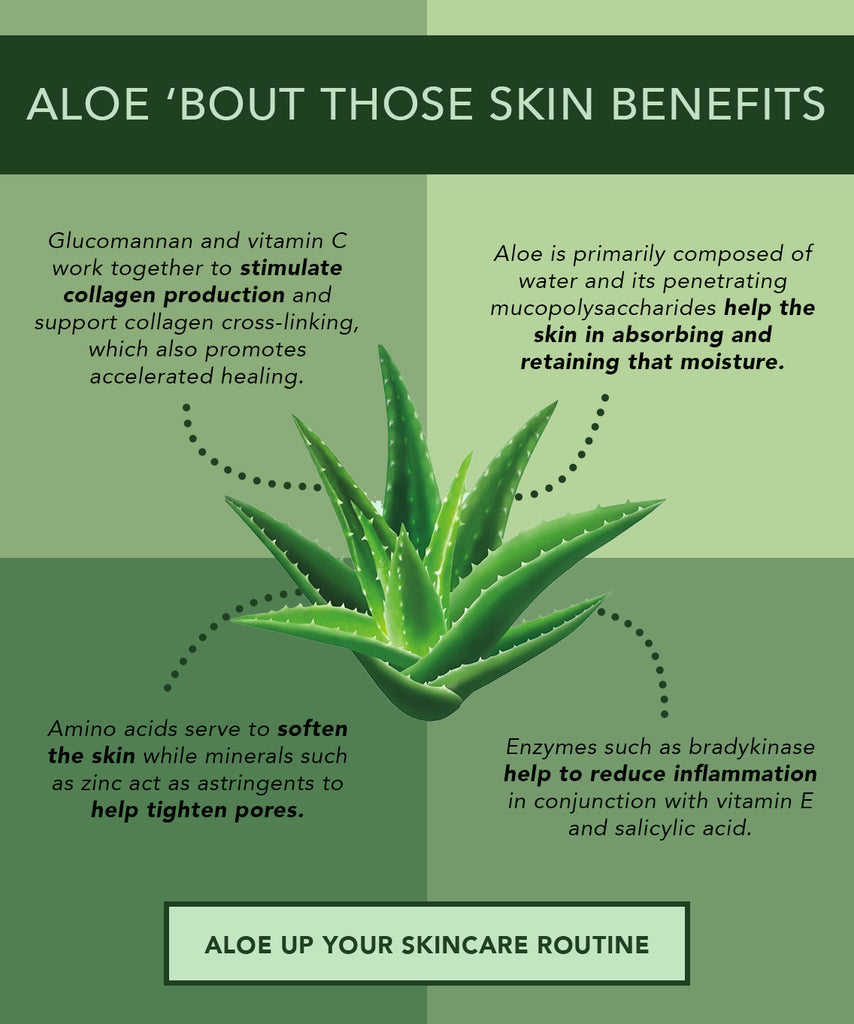 WHAT'S SO SPECIAL ABOUT ALOE?