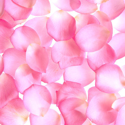 Rose Memorial Petals