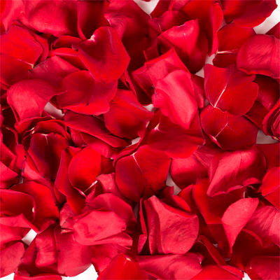 Bright Red Small Natural Rose Petals