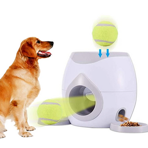 interactive dog ball