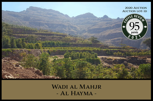 Wadi Al Mahjr - Al Hayma - 2020 Auction Lot 1d