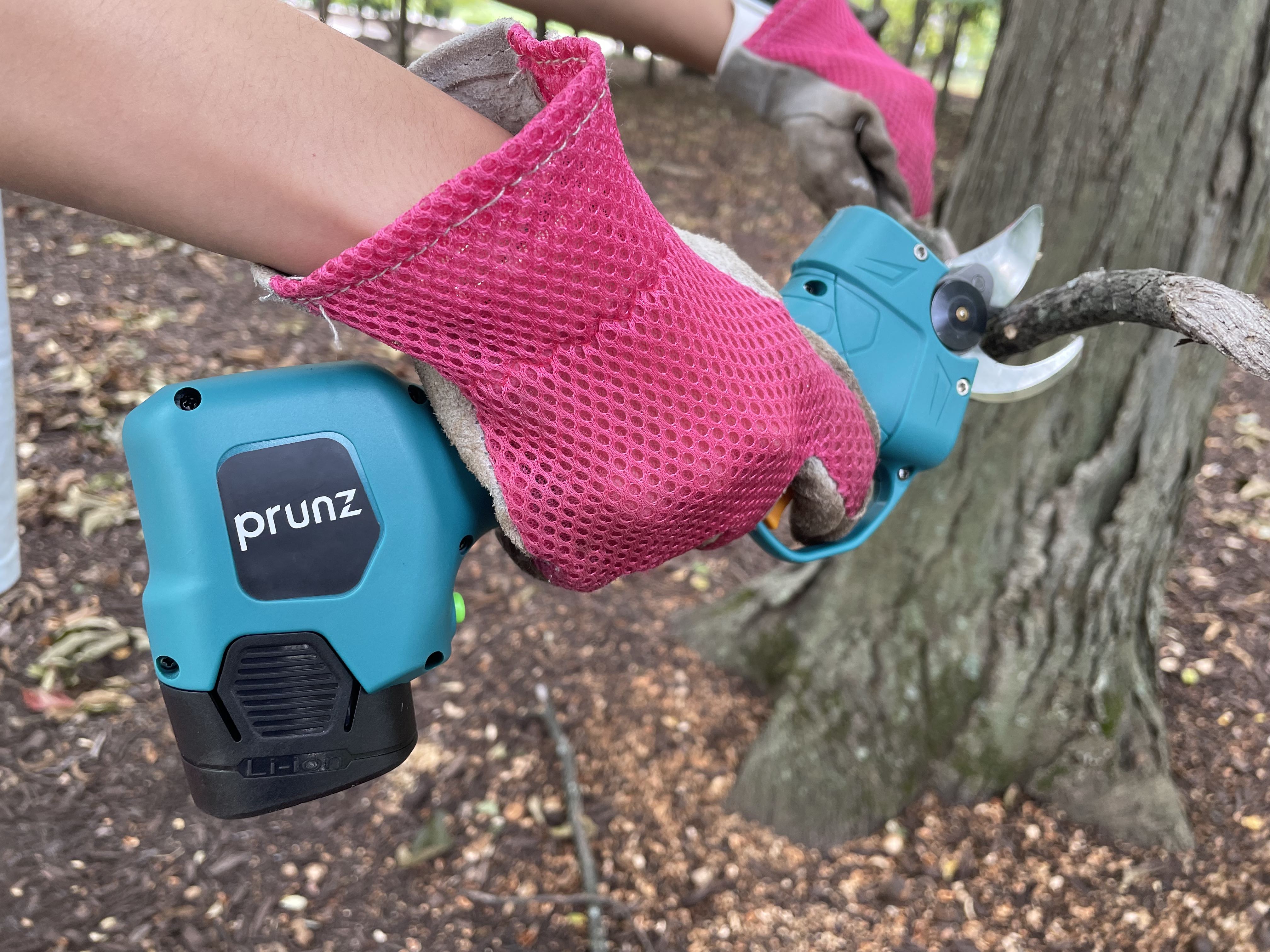 gloved hand using prunz shears to trim a branch