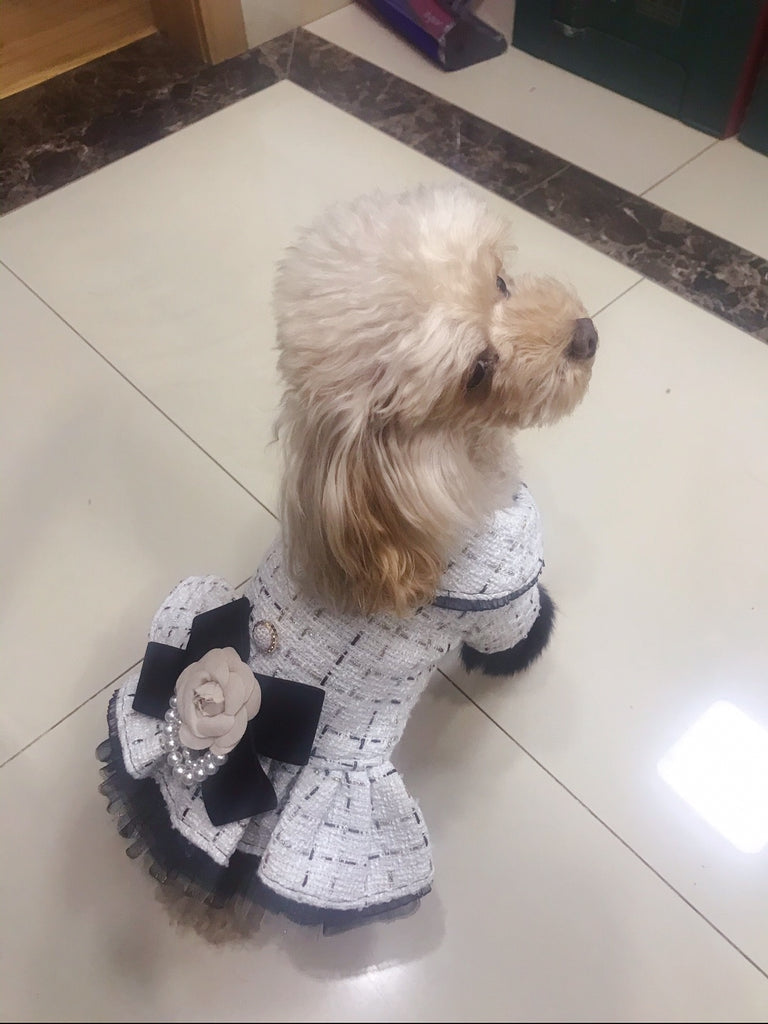 Coco Chanel Mini Pinscher Princess  Dog pajamas Puppy friends Dog  clothes
