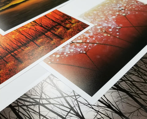 Metallic paper for prints - does it work for your prints? Why use it? 