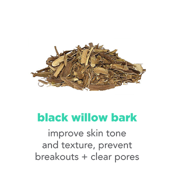 black willow bark