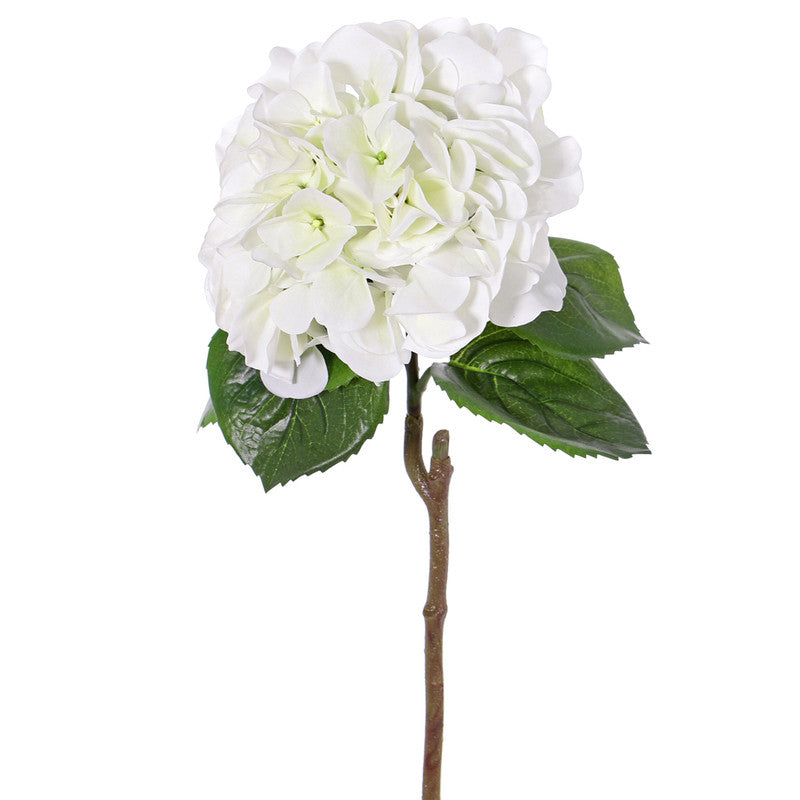 HORTENSIA BLANCA 60 CM - Theodora cl