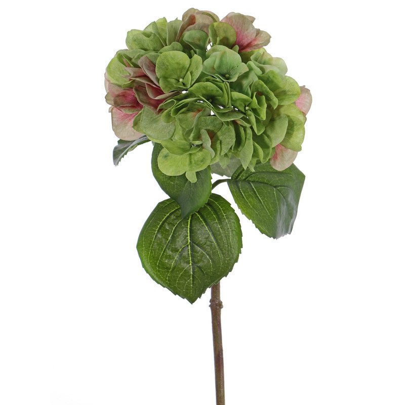 HORTENSIA VERDE CON ROSADO 60 CM - Theodora cl