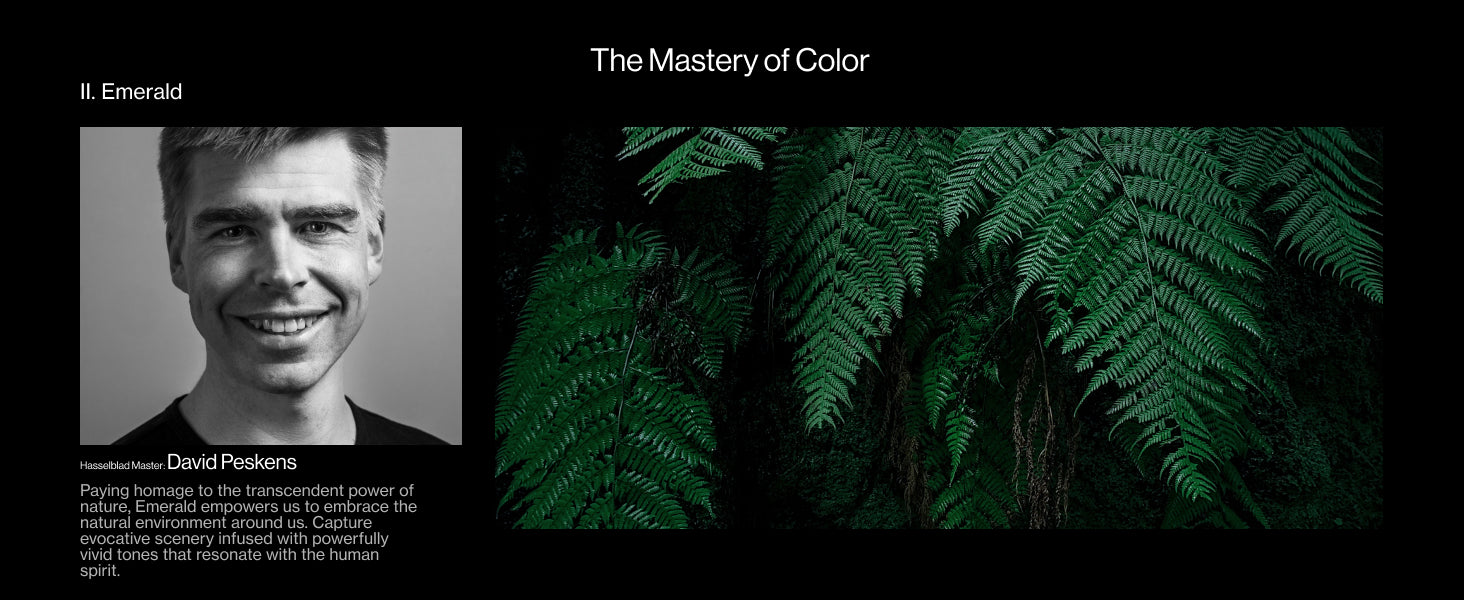 The Mastery Of Color