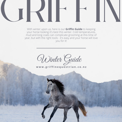 Griffin Equestrian Winter Guide Blog