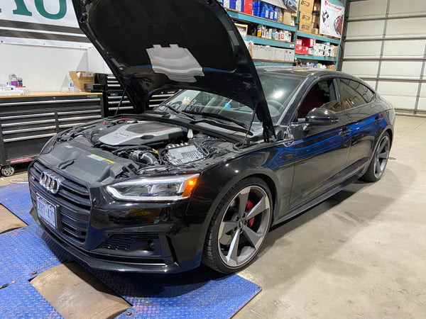 S5 B9 in dyno