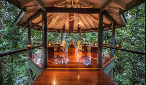Silky Oaks Eco Lodge Daintree Rainforest Travel Inspiration