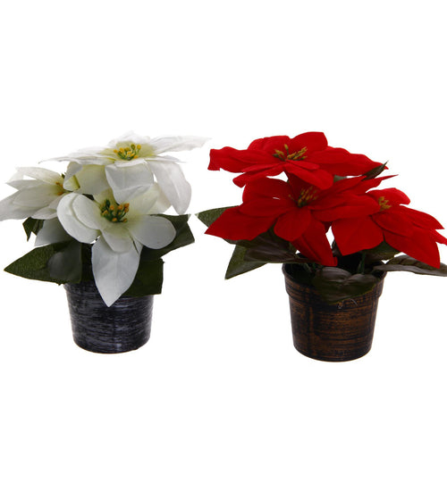 flores navideñas – Tiendas Minaya