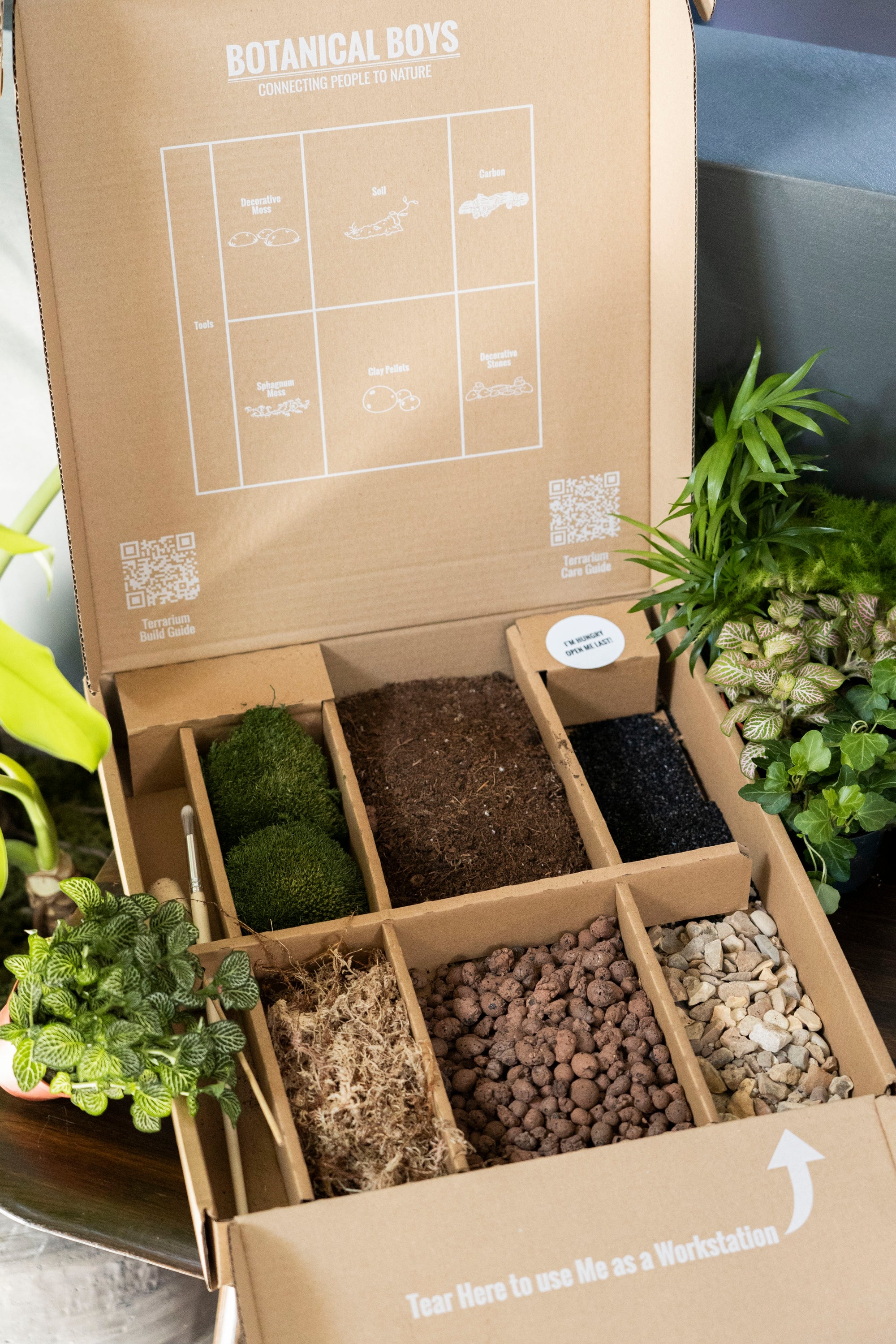 DIY Terrarium Kit