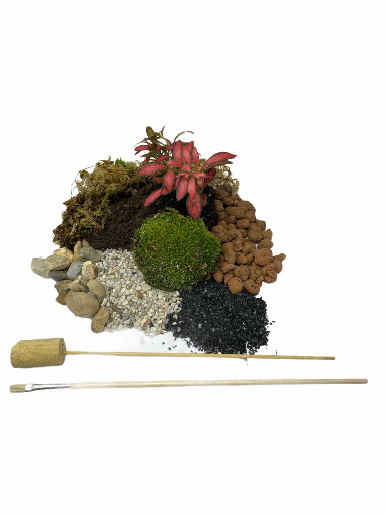 Terrarium Kit ingredients - Large- No glass - Botanical Boys