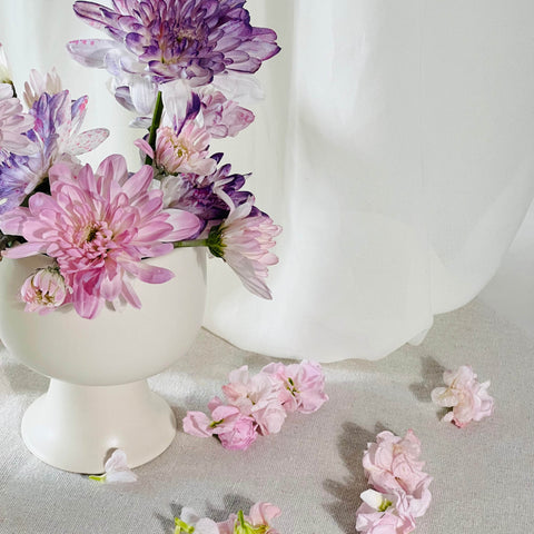 Chrysanthemum Flowers Sydney