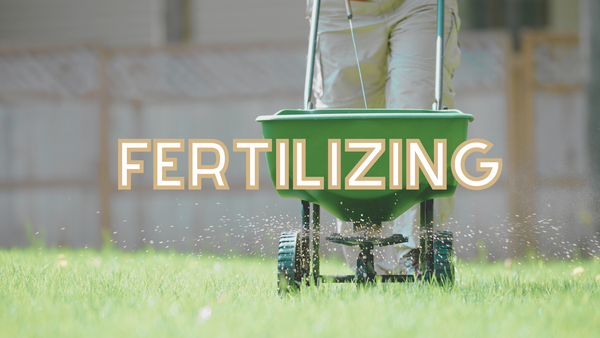 Fertilizing