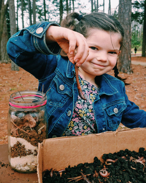 Make your own wormery worm home