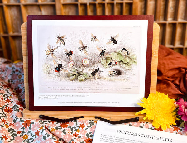 homeschool art study bees