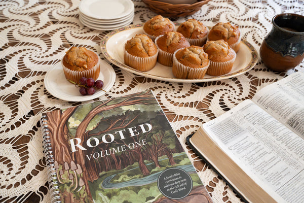 rooted family bible curriculum volume one