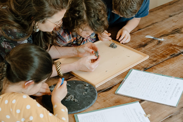 owl pellet dissection activity for kids