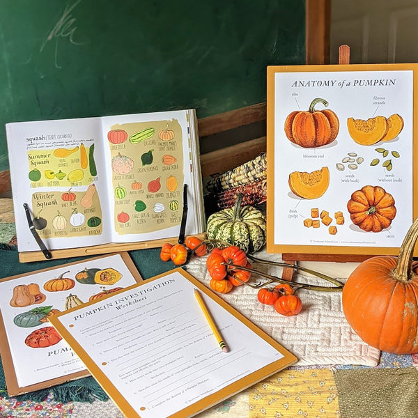 pumpkin homeschool ideas science nature