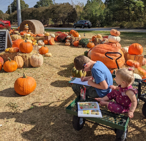 pumpkin patch fall homeschool ideas