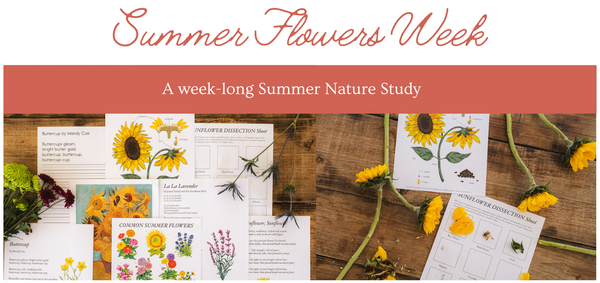 free download summer sunflower unit study