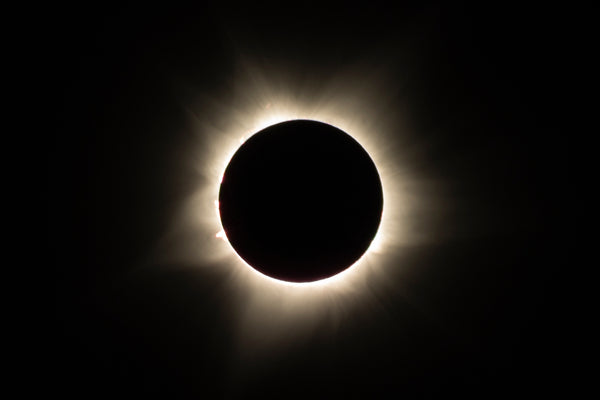 april 8 2024 total solar eclipse homeschool ideas