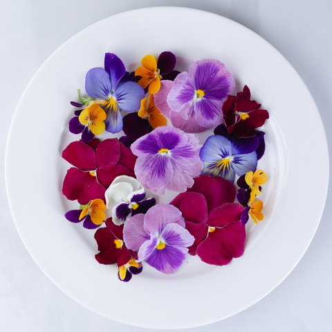 Edible Flowers