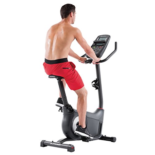 schwinn 130 upright bike weight limit