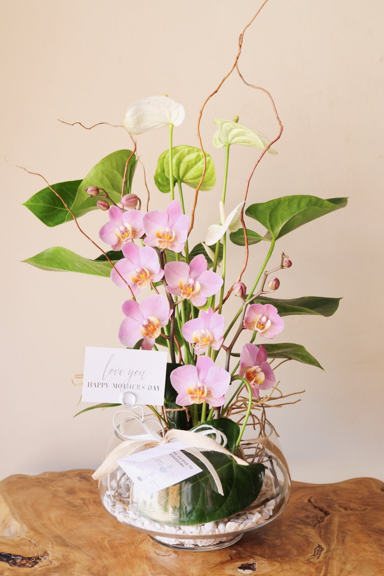 Arreglo Floral De Kokedama Con Planta De Anthurium Blanco Y Orquídea —  verdemasalla.mx