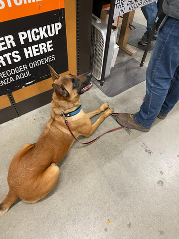 Kai at Home Depot