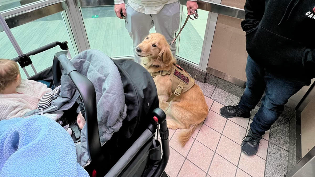 Rescue 22 Foundation Service dog Rion with her new family.