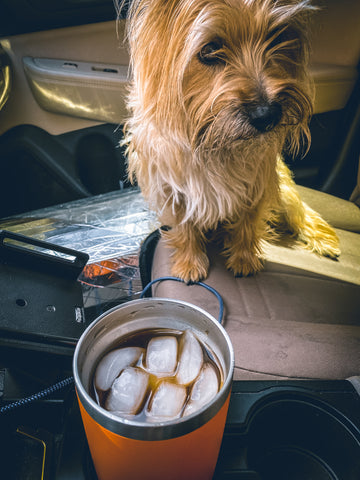 Road Trip Japanese Iced Chocolate Coffee