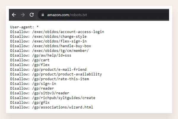 Disallow directives for an eCommerce website