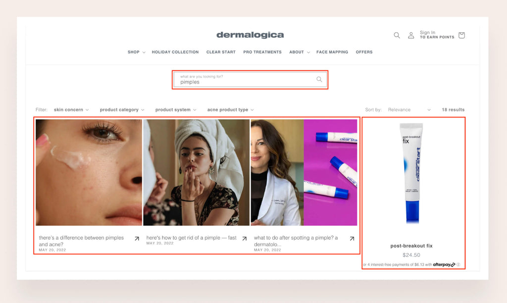 Dermalogica's onsite search allows visitors to access to their blog posts