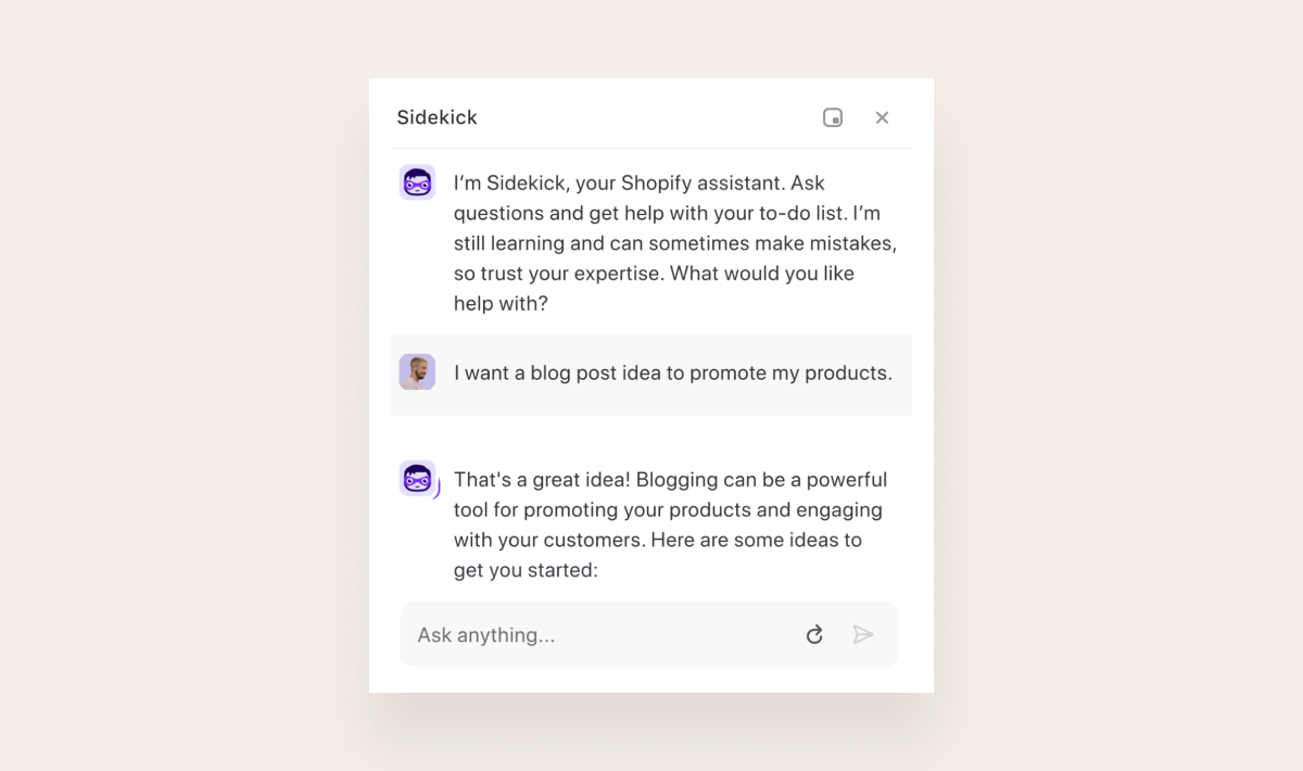 Shopify Sidekick to generate ideas