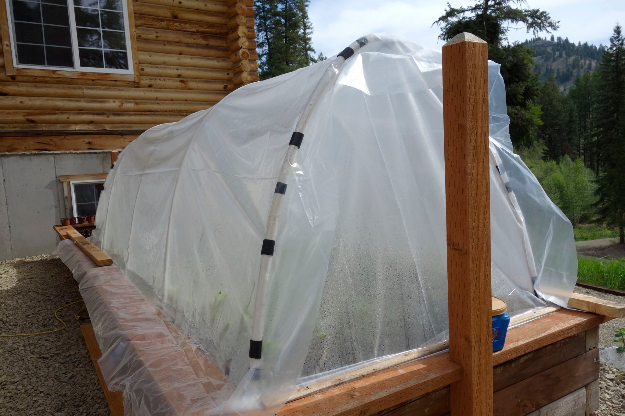 Hoop house to protect the fledgling indigo plants at Okan Arts Farm