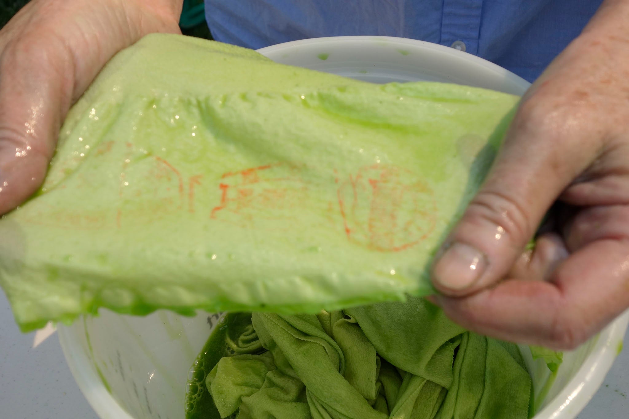 Making fresh-leaf indigo dye at the Okan Arts farm in the Okanogan Highlands, Washington